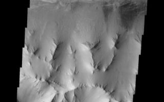 <h1>PIA05954:  Ius Chasma Ridge</h1><div class="PIA05954" lang="en" style="width:537px;text-align:left;margin:auto;background-color:#000;padding:10px;max-height:150px;overflow:auto;"><a href="/figures/PIA05954_fig1.jpg"> </a><br /><p>The Odyssey spacecraft has taken some great pictures of Valles Marineris, the largest canyon in the solar system. If this canyon were on Earth, it would stretch from New York to Los Angeles. For the next several weeks, the Image of the Day will tour some of the canyons that make up this vast system. We will start with Ius Chasma in the west, and end with Coprates Chasma to the east. For more information on Vallis Marineris, please see <a href="http://mars.jpl.nasa.gov/mep/science/vm.html">http://mars.jpl.nasa.gov/mep/science/vm.html</a>.</p><p>This image shows the central ridge that runs through Ius Chasma.</p>Image information: VIS instrument. Latitude -8, Longitude 279.4 East (80.6 West). 18 meter/pixel resolution.</p><p>Note: this THEMIS visual image has not been radiometrically nor geometrically calibrated for this preliminary release. An empirical correction has been performed to remove instrumental effects. A linear shift has been applied in the cross-track and down-track direction to approximate spacecraft and planetary motion. Fully calibrated and geometrically projected images will be released through the Planetary Data System in accordance with Project policies at a later time.</p><p>NASA's Jet Propulsion Laboratory manages the 2001 Mars Odyssey mission for NASA's Office of Space Science, Washington, D.C. The Thermal Emission Imaging System (THEMIS) was developed by Arizona State University, Tempe, in collaboration with Raytheon Santa Barbara Remote Sensing. The THEMIS investigation is led by Dr. Philip Christensen at Arizona State University. Lockheed Martin Astronautics, Denver, is the prime contractor for the Odyssey project, and developed and built the orbiter. Mission operations are conducted jointly from Lockheed Martin and from JPL, a division of the California Institute of Technology in Pasadena.</p><br /><br /><a href="http://photojournal.jpl.nasa.gov/catalog/PIA05954" onclick="window.open(this.href); return false;" title="Voir l'image 	 PIA05954:  Ius Chasma Ridge	  sur le site de la NASA">Voir l'image 	 PIA05954:  Ius Chasma Ridge	  sur le site de la NASA.</a></div>