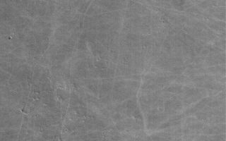 <h1>PIA06299:  Bright Dust Devil Tracks</h1><div class="PIA06299" lang="en" style="width:672px;text-align:left;margin:auto;background-color:#000;padding:10px;max-height:150px;overflow:auto;"><p>9 June 2004<br />Martian dust devils sometimes disrupt thin coatings of surface dust to create dark streak patterns on the surface. However, not all dust devils make streaks, and not all dust devil streaks are dark. In Syria Planum, the streaks are lighter than the surrounding plains. This Mars Global Surveyor (MGS) Mars Orbiter Camera (MOC) picture shows an example from Syria near 8.8°S, 103.6°W. The thin coating of surface dust in this region is darker than the substrate beneath it. This is fairly unusual for Mars, because most dust is bright. This image covers an area about 3 km (1.9 mi) across and is illuminated by sunlight from the left/lower left.</p><br /><br /><a href="http://photojournal.jpl.nasa.gov/catalog/PIA06299" onclick="window.open(this.href); return false;" title="Voir l'image 	 PIA06299:  Bright Dust Devil Tracks	  sur le site de la NASA">Voir l'image 	 PIA06299:  Bright Dust Devil Tracks	  sur le site de la NASA.</a></div>