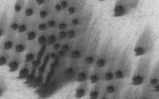 <h1>PIA06302:  Dunes and Wind Streaks</h1><div class="PIA06302" lang="en" style="width:512px;text-align:left;margin:auto;background-color:#000;padding:10px;max-height:150px;overflow:auto;"><p>12 June 2004<br />This Mars Global Surveyor (MGS) Mars Orbiter Camera (MOC) image shows small, dark, north polar sand dunes and attendant wind streaks located near 76.7°N, 317.6°W. The dominant winds responsible for these features blow from the southwest (lower left). The image covers an area about 3 km (1.9 mi) across. The scene is illuminated by sunlight from the lower left.</p><br /><br /><a href="http://photojournal.jpl.nasa.gov/catalog/PIA06302" onclick="window.open(this.href); return false;" title="Voir l'image 	 PIA06302:  Dunes and Wind Streaks	  sur le site de la NASA">Voir l'image 	 PIA06302:  Dunes and Wind Streaks	  sur le site de la NASA.</a></div>
