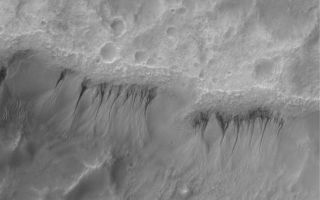 <h1>PIA06304:  Martian Gullies</h1><div class="PIA06304" lang="en" style="width:800px;text-align:left;margin:auto;background-color:#000;padding:10px;max-height:150px;overflow:auto;"><p>14 June 2004<br />This Mars Global Surveyor (MGS) Mars Orbiter Camera (MOC) image shows a gullied crater wall at 1.5 meters (5 feet) per pixel resolution. The gullies in this case have formed in a thick, smooth-surfaced mantle that covers the crater wall. Formation of these gullies might have involved a fluid such as water, or perhaps could have formed by avalanching of dry debris. The Mars science community is still discussing, debating, and making new observations of martian gullies to better understand their origin and implications. These gullies are located near 33.8°S, 201.6°W. The image covers an area about 3 km (1.9 mi) across. Sunlight illuminates the scene from the upper left.</p><br /><br /><a href="http://photojournal.jpl.nasa.gov/catalog/PIA06304" onclick="window.open(this.href); return false;" title="Voir l'image 	 PIA06304:  Martian Gullies	  sur le site de la NASA">Voir l'image 	 PIA06304:  Martian Gullies	  sur le site de la NASA.</a></div>