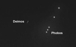 <h1>PIA06336:  The Two Moons of Mars as Seen from Mars</h1><div class="PIA06336" lang="en" style="width:800px;text-align:left;margin:auto;background-color:#000;padding:10px;max-height:150px;overflow:auto;"><p>Taking advantage of extra solar energy collected during the day, NASA's Mars Exploration Rover Spirit settled in for an evening of stargazing, photographing the two moons of Mars as they crossed the night sky. "It is incredibly cool to be running an observatory on another planet," said planetary scientist Jim Bell of Cornell University, Ithaca, N.Y., lead scientist for the panoramic cameras on Spirit and Opportunity. This time-lapse composite, acquired the evening of Spirit's martian sol 585 (Aug. 26, 2005) from a perch atop "Husband Hill" in Gusev Crater, shows Phobos, the brighter moon, on the right, and Deimos, the dimmer moon, on the left. Tiny streaks mark the trails of background stars moving across the sky or the impact of cosmic rays lighting up random groups of pixels in the image. </p><p>Scientists will use images of the two moons to better map their orbital positions, learn more about their composition, and monitor the presence of nighttime clouds or haze. Spirit took the five images that make up this composite using the panoramic camera's broadband filter, which was designed specifically for acquiring images under low-light conditions.</p><br /><br /><a href="http://photojournal.jpl.nasa.gov/catalog/PIA06336" onclick="window.open(this.href); return false;" title="Voir l'image 	 PIA06336:  The Two Moons of Mars as Seen from Mars	  sur le site de la NASA">Voir l'image 	 PIA06336:  The Two Moons of Mars as Seen from Mars	  sur le site de la NASA.</a></div>