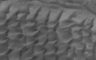<h1>PIA06361:  Dunes in Noachis</h1><div class="PIA06361" lang="en" style="width:800px;text-align:left;margin:auto;background-color:#000;padding:10px;max-height:150px;overflow:auto;"><p>1 July 2004<br />This Mars Global Surveyor (MGS) Mars Orbiter Camera (MOC) image shows dark sand dunes in a crater in Noachis Terra near 45.8°S, 323.4°W. Martian dunes, unlike the majority of their terrestrial counterparts, are dark because they are composed of minerals or rock fragments rich in unoxidized iron and magnesium. This image covers an area about 3 km (1.9 mi) wide. Sunlight illuminates this autumn scene from the upper left.</p><br /><br /><a href="http://photojournal.jpl.nasa.gov/catalog/PIA06361" onclick="window.open(this.href); return false;" title="Voir l'image 	 PIA06361:  Dunes in Noachis	  sur le site de la NASA">Voir l'image 	 PIA06361:  Dunes in Noachis	  sur le site de la NASA.</a></div>