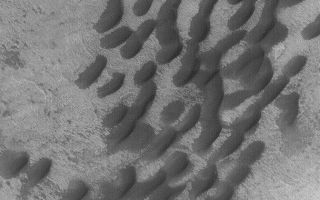<h1>PIA06364:  Small Dunes in Hellas</h1><div class="PIA06364" lang="en" style="width:672px;text-align:left;margin:auto;background-color:#000;padding:10px;max-height:150px;overflow:auto;"><p>4 July 2004<br />This April 2004 Mars Global Surveyor (MGS) Mars Orbiter Camera (MOC) image shows a small dune field in southeastern Hellas Planitia near 41.4°S, 275.6°W. The image covers an area about 3 km (1.9 mi) wide; sunlight illuminates the scene from the upper left.</p><br /><br /><a href="http://photojournal.jpl.nasa.gov/catalog/PIA06364" onclick="window.open(this.href); return false;" title="Voir l'image 	 PIA06364:  Small Dunes in Hellas	  sur le site de la NASA">Voir l'image 	 PIA06364:  Small Dunes in Hellas	  sur le site de la NASA.</a></div>