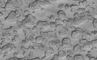 <h1>PIA06367:  Carbon Dioxide Landscape</h1><div class="PIA06367" lang="en" style="width:800px;text-align:left;margin:auto;background-color:#000;padding:10px;max-height:150px;overflow:auto;"><p>7 July 2004<br />This Mars Global Surveyor (MGS) Mars Orbiter Camera (MOC) image shows a mid-summer view of the south polar residual cap at full MOC resolution, 1.5 m (5 ft) per pixel. During each of the three summers since the start of the MGS mapping mission in March 1999, the scarps that form mesas and pits in the "Swiss cheese"-like south polar terrain have retreated an average of about 3 meters (~1 yard). The material is frozen carbon dioxide; another 3 meters or so of each scarp is expected to be removed during the next summer, in late 2005. This image is located near 86.0°S, 350.8°W, and covers an area about 1.5 km (0.9 mi) wide. Sunlight illuminates the scene from the top/upper left.</p><br /><br /><a href="http://photojournal.jpl.nasa.gov/catalog/PIA06367" onclick="window.open(this.href); return false;" title="Voir l'image 	 PIA06367:  Carbon Dioxide Landscape	  sur le site de la NASA">Voir l'image 	 PIA06367:  Carbon Dioxide Landscape	  sur le site de la NASA.</a></div>