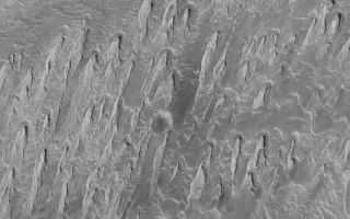 <h1>PIA06369:  Wind Erosion in Tithonium</h1><div class="PIA06369" lang="en" style="width:800px;text-align:left;margin:auto;background-color:#000;padding:10px;max-height:150px;overflow:auto;"><p>9 July 2004<br />The processes that have eroded and exposed sedimentary rock outcrops in many of the Valles Marineris troughs are unclear. However, this Mars Global Surveyor (MGS) Mars Orbiter Camera (MOC) image shows an example from western Tithonium Chasma that is unambiguous. The ridges are yardangs, an erosional form created by wind. To acquire the characteristic shape of a yardang, the material being eroded must contain some amount of sand. As weathering processes loosen sand grains from the outcrop, they become available to be picked up and transported away by wind. In the case shown here, the dominant, rock-eroding winds came from the top/upper right (north). This view of eroded sedimentary rock in western Valles Marineris is located near 4.6°S, 89.1°W. At 1.5 meters (5 feet) per pixel, this image covers an area about 3 km (1.9 mi) wide, and is illuminated by sunlight from the left.</p><br /><br /><a href="http://photojournal.jpl.nasa.gov/catalog/PIA06369" onclick="window.open(this.href); return false;" title="Voir l'image 	 PIA06369:  Wind Erosion in Tithonium	  sur le site de la NASA">Voir l'image 	 PIA06369:  Wind Erosion in Tithonium	  sur le site de la NASA.</a></div>
