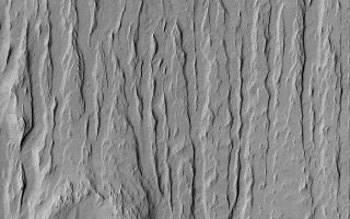 <h1>PIA06379:  Exposed Crater</h1><div class="PIA06379" lang="en" style="width:672px;text-align:left;margin:auto;background-color:#000;padding:10px;max-height:150px;overflow:auto;"><p>12 July 2004<br />Wind erosion has created yardang ridges and revealed the location of a formerly-buried meteor crater (see lower left corner) in this Mars Global Surveyor (MGS) Mars Orbiter Camera (MOC) image. This scene is located in the Apollinaris Sulci region near 11.4°S, 181.6°W, and covers an area about 3 km (1.9 mi) wide. Sunlight illuminates the landforms from the left/upper left.</p><br /><br /><a href="http://photojournal.jpl.nasa.gov/catalog/PIA06379" onclick="window.open(this.href); return false;" title="Voir l'image 	 PIA06379:  Exposed Crater	  sur le site de la NASA">Voir l'image 	 PIA06379:  Exposed Crater	  sur le site de la NASA.</a></div>