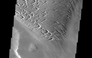 <h1>PIA06698:  Yardangs and Crosshatching</h1><div class="PIA06698" lang="en" style="width:539px;text-align:left;margin:auto;background-color:#000;padding:10px;max-height:150px;overflow:auto;"><a href="/figures/PIA06698_fig1.jpg"> </a><br /><p>The atmosphere of Mars is a dynamic system. Water-ice clouds, fog, and hazes can make imaging the surface from space difficult. Dust storms can grow from local disturbances to global sizes, through which imaging is impossible. Seasonal temperature changes are the usual drivers in cloud and dust storm development and growth. </p><p>Eons of atmospheric dust storm activity has left its mark on the surface of Mars. Dust carried aloft by the wind has settled out on every available surface; sand dunes have been created and moved by centuries of wind; and the effect of continual sand-blasting has modified many regions of Mars, creating yardangs and other unusual surface forms. </p><p>The yardangs in this image are forming in channel floor deposits. The channel itself is funneling the wind to cause the erosion.</p>Image information: VIS instrument. Latitude 1, Longitude 198.5 East (161.5 West). 19 meter/pixel resolution.</p><p>Note: this THEMIS visual image has not been radiometrically nor geometrically calibrated for this preliminary release. An empirical correction has been performed to remove instrumental effects. A linear shift has been applied in the cross-track and down-track direction to approximate spacecraft and planetary motion. Fully calibrated and geometrically projected images will be released through the Planetary Data System in accordance with Project policies at a later time.</p><p>NASA's Jet Propulsion Laboratory manages the 2001 Mars Odyssey mission for NASA's Office of Space Science, Washington, D.C. The Thermal Emission Imaging System (THEMIS) was developed by Arizona State University, Tempe, in collaboration with Raytheon Santa Barbara Remote Sensing. The THEMIS investigation is led by Dr. Philip Christensen at Arizona State University. Lockheed Martin Astronautics, Denver, is the prime contractor for the Odyssey project, and developed and built the orbiter. Mission operations are conducted jointly from Lockheed Martin and from JPL, a division of the California Institute of Technology in Pasadena.</p><br /><br /><a href="http://photojournal.jpl.nasa.gov/catalog/PIA06698" onclick="window.open(this.href); return false;" title="Voir l'image 	 PIA06698:  Yardangs and Crosshatching	  sur le site de la NASA">Voir l'image 	 PIA06698:  Yardangs and Crosshatching	  sur le site de la NASA.</a></div>