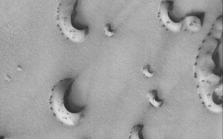 <h1>PIA06724:  Spotty Dunes</h1><div class="PIA06724" lang="en" style="width:601px;text-align:left;margin:auto;background-color:#000;padding:10px;max-height:150px;overflow:auto;"><p>27 July 2004<br />Frost-covered dunes develop spots and streaks as they begin to defrost in springtime. This April 2004 Mars Global Surveyor (MGS) Mars Orbiter Camera (MOC) image shows a suite of north polar dunes in the early stages of the defrosting process. At the time the image was acquired, Mars was only 1 month into the northern spring season. The picture is located near 75.9°N, 266.0°W, and is illuminated by sunlight from the lower left. The image covers an area about 3 km (1.9 mi) wide.</p><br /><br /><a href="http://photojournal.jpl.nasa.gov/catalog/PIA06724" onclick="window.open(this.href); return false;" title="Voir l'image 	 PIA06724:  Spotty Dunes	  sur le site de la NASA">Voir l'image 	 PIA06724:  Spotty Dunes	  sur le site de la NASA.</a></div>