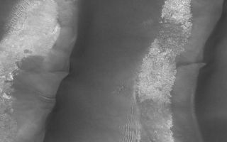 <h1>PIA06794:  Dune Avalanche Scars</h1><div class="PIA06794" lang="en" style="width:800px;text-align:left;margin:auto;background-color:#000;padding:10px;max-height:150px;overflow:auto;"><p>05 August 2004<br />This Mars Global Surveyor (MGS) Mars Orbiter Camera (MOC) image shows large, low albedo (dark) sand dunes in Kaiser Crater near 47.2°S, 340.4°W. The dunes are--ever so slowly--moving east to west (right to left) as sand avalanches down the steeper, slip face slopes of each. Avalanching sand in the Kaiser dune field has left deep scars on these slopes, suggesting that the sand is not loose but is instead weakly cemented. The image covers an area approximately 3 km (1.9 mi) wide and is illuminated by sunlight from the upper left.</p><br /><br /><a href="http://photojournal.jpl.nasa.gov/catalog/PIA06794" onclick="window.open(this.href); return false;" title="Voir l'image 	 PIA06794:  Dune Avalanche Scars	  sur le site de la NASA">Voir l'image 	 PIA06794:  Dune Avalanche Scars	  sur le site de la NASA.</a></div>