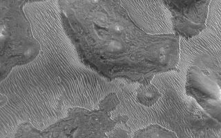 <h1>PIA06803:  Ridged Layer Outcrop</h1><div class="PIA06803" lang="en" style="width:800px;text-align:left;margin:auto;background-color:#000;padding:10px;max-height:150px;overflow:auto;"><p>15 August 2004<br />This Mars Global Surveyor (MGS) Mars Orbiter Camera (MOC) image shows a strange ridged pattern developed in an eroding layer of material on the floor of a Labyrinthus Noctis depression in the Valles Marineris system. The ridges bear some resemblance to ripple-like dunes seen elsewhere on Mars, but they are linked to the erosion of a specific layer of material--i.e., something in the rock record of Mars. Similar ridged textures are found in eroded dark-toned mantling layers in regions as far away as northern Sinus Meridiani and Mawrth Vallis. The explanation for these landforms is as elusive as this image is evocative. The image is located near 8.2°S, 93.6°W, and covers an area 3 km (1.9 mi) across. The scene is illuminated by sunlight from the upper left.</p><br /><br /><a href="http://photojournal.jpl.nasa.gov/catalog/PIA06803" onclick="window.open(this.href); return false;" title="Voir l'image 	 PIA06803:  Ridged Layer Outcrop	  sur le site de la NASA">Voir l'image 	 PIA06803:  Ridged Layer Outcrop	  sur le site de la NASA.</a></div>
