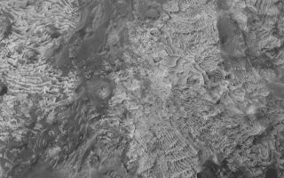<h1>PIA06804:  Sedimentary Rock Outcrops</h1><div class="PIA06804" lang="en" style="width:800px;text-align:left;margin:auto;background-color:#000;padding:10px;max-height:150px;overflow:auto;"><p>16 August 2004<br />This Mars Global Surveyor (MGS) Mars Orbiter Camera (MOC) image shows eroded layered rock outcrops in a crater north of Meridiani Planum near 2.7°N, 359.1°W. The dozens and dozens of sedimentary rock layers of repeated thickness and similar physical properties at this location suggest that they may have been deposited in a lacustrine (lake) setting. The crater in which these layers occur may once have been completely filled and buried, as is the case for many craters in the Sinus Meridiani region. This image covers an area about 3 km (1.9 mi) across; sunlight illuminates the scene from the left.</p><br /><br /><a href="http://photojournal.jpl.nasa.gov/catalog/PIA06804" onclick="window.open(this.href); return false;" title="Voir l'image 	 PIA06804:  Sedimentary Rock Outcrops	  sur le site de la NASA">Voir l'image 	 PIA06804:  Sedimentary Rock Outcrops	  sur le site de la NASA.</a></div>