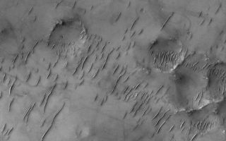 <h1>PIA06805:  Ancient Bedforms</h1><div class="PIA06805" lang="en" style="width:800px;text-align:left;margin:auto;background-color:#000;padding:10px;max-height:150px;overflow:auto;"><p>18 August 2004<br />This Mars Global Surveyor (MGS) Mars Orbiter Camera (MOC) image shows groupings of large ripple-like windblown bedforms on the floor of a large crater (larger than the image shown here) in Sinus Sabaeus, south of Schiaparelli Basin. These ripple-like features are much larger than typical wind ripples on Earth, but smaller than typical sand dunes on either planet. Like most of the other ripple-like bedforms in Sinus Sabaeus, they are probably ancient and no longer mobile. Dark streaks on the substrate between the bedforms were formed by passing dust devils. This image is located near 13.0°S, 343.7°W. The image covers an area about 3 km (1.9 mi) across and sunlight illuminates the scene from the upper left.</p><br /><br /><a href="http://photojournal.jpl.nasa.gov/catalog/PIA06805" onclick="window.open(this.href); return false;" title="Voir l'image 	 PIA06805:  Ancient Bedforms	  sur le site de la NASA">Voir l'image 	 PIA06805:  Ancient Bedforms	  sur le site de la NASA.</a></div>