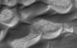 <h1>PIA06813:  Bunge Dunes</h1><div class="PIA06813" lang="en" style="width:326px;text-align:left;margin:auto;background-color:#000;padding:10px;max-height:150px;overflow:auto;"><p>21 August 2004<br /> This Mars Global Surveyor (MGS) Mars Orbiter Camera (MOC) image shows low albedo (dark), windblown sand dunes on the floor of Bunge Crater, located near 33.8°S, 48.9°W. The image covers an area about 3 km (1.9 mi) across. Sunlight illuminates the scene from the upper left.</p><br /><br /><a href="http://photojournal.jpl.nasa.gov/catalog/PIA06813" onclick="window.open(this.href); return false;" title="Voir l'image 	 PIA06813:  Bunge Dunes	  sur le site de la NASA">Voir l'image 	 PIA06813:  Bunge Dunes	  sur le site de la NASA.</a></div>