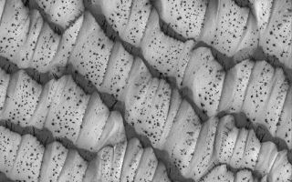 <h1>PIA06815:  Polar Dunes, Spotted</h1><div class="PIA06815" lang="en" style="width:512px;text-align:left;margin:auto;background-color:#000;padding:10px;max-height:150px;overflow:auto;"><p>23 August 2004<br />This Mars Global Surveyor (MGS) Mars Orbiter Camera (MOC) image shows sand dunes in the martian north polar region in mid-spring, July 2004. In summer, the dunes will be dark. As they defrost, dark spots form on their surfaces. This image is located near 82.8°N, 219.6°W. The image covers an area about 3 km (1.9 mi) across and sunlight illuminates the scene from the lower left.</p><br /><br /><a href="http://photojournal.jpl.nasa.gov/catalog/PIA06815" onclick="window.open(this.href); return false;" title="Voir l'image 	 PIA06815:  Polar Dunes, Spotted	  sur le site de la NASA">Voir l'image 	 PIA06815:  Polar Dunes, Spotted	  sur le site de la NASA.</a></div>