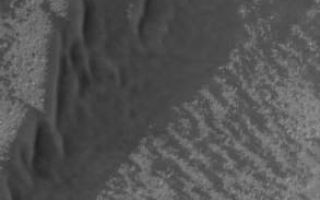 <h1>PIA06840:  Sand Sheet and Dunes</h1><div class="PIA06840" lang="en" style="width:293px;text-align:left;margin:auto;background-color:#000;padding:10px;max-height:150px;overflow:auto;"><p>29 August 2004<br />Most southern high latitude dune fields occur on the floors of impact craters, and many of them are eroded into rounded or flattened forms. This Mars Global Surveyor (MGS) Mars Orbiter Camera (MOC) image shows a field of dunes (southern half of image) and a relatively flat sand sheet (northern half of image) in a crater located near 63.9°S, 95.9°W. Wind transport of sand was from the right toward left (east to west). Dark streaks superimposed on the dunes are the tracks made by passing dust devils. The image covers an area about 3 km (1.9 mi) across; sunlight illuminates the scene from the upper left.</p><br /><br /><a href="http://photojournal.jpl.nasa.gov/catalog/PIA06840" onclick="window.open(this.href); return false;" title="Voir l'image 	 PIA06840:  Sand Sheet and Dunes	  sur le site de la NASA">Voir l'image 	 PIA06840:  Sand Sheet and Dunes	  sur le site de la NASA.</a></div>