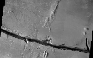 <h1>PIA06842:  Cerberus Fossae</h1><div class="PIA06842" lang="en" style="width:800px;text-align:left;margin:auto;background-color:#000;padding:10px;max-height:150px;overflow:auto;"><a href="/figures/PIA06842_fig1.jpg"> </a><br /><p>Released August 30, 2004</br>The THEMIS Image of the Day will be exploring the <a href="/catalog/PIA06821">nomenclature of Mars</a> for the next three weeks.</p><p>Cerberus Fossae</br>Fossae: long, narrow, shallow depressionsCerberus: The three-headed watchdog that guarded the entrance to Hades. Cerberus was the child of a giant and a half-woman/half-snake.</p><p>Cerberus Fossae is comprised of two east/west oriented linear depressions. One of these depressions is shown in the VIS mosaic above. The region surrounding the depression is mainly volcanic in nature.</p><p><b>Nomenclature Fact of the Day:</b> Since the planet Venus is named for the Roman goddess of love, its features are named with female names. Large craters are named for famous women, small craters are named with female first names, and other features are named for mythological goddesses of many cultures.</p><p>Image information: VIS instrument. Latitude 10.1, Longitude 157.3 East (202.7 West). 19 meter/pixel resolution.</p><p>Note: this THEMIS visual image has not been radiometrically nor geometrically calibrated for this preliminary release. An empirical correction has been performed to remove instrumental effects. A linear shift has been applied in the cross-track and down-track direction to approximate spacecraft and planetary motion. Fully calibrated and geometrically projected images will be released through the Planetary Data System in accordance with Project policies at a later time.</p><p>NASA's Jet Propulsion Laboratory manages the 2001 Mars Odyssey mission for NASA's Office of Space Science, Washington, D.C. The Thermal Emission Imaging System (THEMIS) was developed by Arizona State University, Tempe, in collaboration with Raytheon Santa Barbara Remote Sensing. The THEMIS investigation is led by Dr. Philip Christensen at Arizona State University. Lockheed Martin Astronautics, Denver, is the prime contractor for the Odyssey project, and developed and built the orbiter. Mission operations are conducted jointly from Lockheed Martin and from JPL, a division of the California Institute of Technology in Pasadena.</p><br /><br /><a href="http://photojournal.jpl.nasa.gov/catalog/PIA06842" onclick="window.open(this.href); return false;" title="Voir l'image 	 PIA06842:  Cerberus Fossae	  sur le site de la NASA">Voir l'image 	 PIA06842:  Cerberus Fossae	  sur le site de la NASA.</a></div>