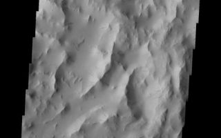<h1>PIA06844:  Lycus Sulci</h1><div class="PIA06844" lang="en" style="width:551px;text-align:left;margin:auto;background-color:#000;padding:10px;max-height:150px;overflow:auto;"><a href="/figures/PIA06844_fig1.jpg"> </a><br /><p>Released August 31, 2004</br>The THEMIS Image of the Day will be exploring the <a href="/catalog/PIA06821">nomenclature of Mars</a> for the next three weeks.</p><p>Lycus Sulci</br>Sulci: subparallel furrows and ridgesLycus: King Lycus of Thebes. Uncle of Antiope, he honored his brother's deathbed wish to bring the girl home to Thebes. Lycus marched his army to Sicyon, slew Antiope's husband and brought her home to a life of hardship and cruelty.</p><p>Lycus Sulci is a lowlying area of ridges and valleys found to the northwest of Olympus Mons. It is not yet understood how this feature formed or how it relates to the formation of Olympus Mons itself. The VIS image above shows the ridge forms that are typical of this region.</p><p><b>Nomenclature Fact of the Day:</b> With the Cassini Spacecraft now in orbit around Saturn, we will be getting new images of the Solar System's largest moon, Titan. The IAU has already decided on the types of names for different features on Titan.</p><p>Image information: VIS instrument. Latitude 22.1, Longitude 212.8 East (147.2 West). 19 meter/pixel resolution.</p><p>Note: this THEMIS visual image has not been radiometrically nor geometrically calibrated for this preliminary release. An empirical correction has been performed to remove instrumental effects. A linear shift has been applied in the cross-track and down-track direction to approximate spacecraft and planetary motion. Fully calibrated and geometrically projected images will be released through the Planetary Data System in accordance with Project policies at a later time.</p><p>NASA's Jet Propulsion Laboratory manages the 2001 Mars Odyssey mission for NASA's Office of Space Science, Washington, D.C. The Thermal Emission Imaging System (THEMIS) was developed by Arizona State University, Tempe, in collaboration with Raytheon Santa Barbara Remote Sensing. The THEMIS investigation is led by Dr. Philip Christensen at Arizona State University. Lockheed Martin Astronautics, Denver, is the prime contractor for the Odyssey project, and developed and built the orbiter. Mission operations are conducted jointly from Lockheed Martin and from JPL, a division of the California Institute of Technology in Pasadena.</p><br /><br /><a href="http://photojournal.jpl.nasa.gov/catalog/PIA06844" onclick="window.open(this.href); return false;" title="Voir l'image 	 PIA06844:  Lycus Sulci	  sur le site de la NASA">Voir l'image 	 PIA06844:  Lycus Sulci	  sur le site de la NASA.</a></div>