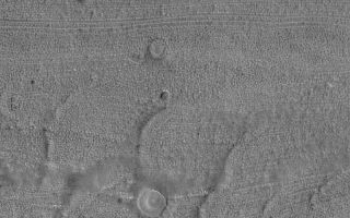 <h1>PIA06950:  Fretted Terrain Craters</h1><div class="PIA06950" lang="en" style="width:800px;text-align:left;margin:auto;background-color:#000;padding:10px;max-height:150px;overflow:auto;"><p>19 October 2004<br >The fretted terrains of Mars were described briefly earlier this month in <a href="/catalog/PIA06900">"Craters in Fretted Terrain</a>." Today's Mars Global Surveyor (MGS) Mars Orbiter Camera (MOC) Picture of the Day shows another example of a fretted terrain valley floor with its characteristic lineated and finely-pitted texture. Four circular features near the center/left center of the image are suspected to be the locations of meteor impact craters that have been largely eroded away. Mars is a complex world upon which have acted processes of erosion that are not fully understood. This image is located near 40.4°N, 336.2°W. The image covers an area about 3 km (1.9 mi) wide and sunlight illuminates the scene from the lower left.</p><br /><br /><a href="http://photojournal.jpl.nasa.gov/catalog/PIA06950" onclick="window.open(this.href); return false;" title="Voir l'image 	 PIA06950:  Fretted Terrain Craters	  sur le site de la NASA">Voir l'image 	 PIA06950:  Fretted Terrain Craters	  sur le site de la NASA.</a></div>