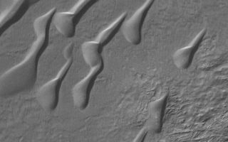 <h1>PIA06963:  Mid-latitude Dune Field</h1><div class="PIA06963" lang="en" style="width:672px;text-align:left;margin:auto;background-color:#000;padding:10px;max-height:150px;overflow:auto;"><p>22 October 2004<br >This Mars Global Surveyor (MGS) Mars Orbiter Camera (MOC) image shows a field of sand dunes in a crater in Noachis Terra near 49.6°S, 352.9°W. Patches of autumn frost, possibly water ice, are seen on the south/southeastern (bottom/lower right) slopes of the dunes. This image mosaics with the east side of the dune image released as <a href="/catalog/PIA05952">MOC Picture of the Day on 22 September 2004</a>. The image covers an area about 3 km (1.9 mi) wide. Sunlight illuminates the scene from the upper left.</p><br /><br /><a href="http://photojournal.jpl.nasa.gov/catalog/PIA06963" onclick="window.open(this.href); return false;" title="Voir l'image 	 PIA06963:  Mid-latitude Dune Field	  sur le site de la NASA">Voir l'image 	 PIA06963:  Mid-latitude Dune Field	  sur le site de la NASA.</a></div>