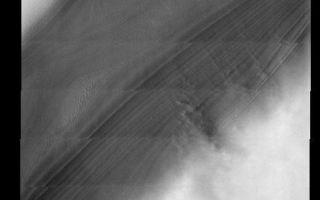 <h1>PIA07010:  North Polar Cap</h1><div class="PIA07010" lang="en" style="width:554px;text-align:left;margin:auto;background-color:#000;padding:10px;max-height:150px;overflow:auto;"><p><a href="/figures/PIA07010_fig1.jpg"> </a><br /><p>This week we will be looking at five examples of laminar wind flow on the north polar cap. On Earth, gravity-driven south polar cap winds are termed "catabatic" winds. Catabatic winds begin over the smooth expanse of the cap interior due to temperature differences between the atmosphere and the surface. Once begun, the winds sweep outward along the surface of the polar cap toward the sea. As the polar surface slopes down toward sealevel, the wind speeds increase. Catabatic wind speeds in the Antartic can reach several hundreds of miles per hour.</p><p>In the images of the Martian north polar cap we can see these same type of winds. Notice the streamers of dust moving downslope over the darker trough sides, these streamers show the laminar flow regime coming off the cap. Within the trough we see turbulent clouds of dust, kicked up at the trough base as the winds slow down and enter a chaotic flow regime.</p><p>The horizontal lines in these images are due to framelet overlap and lighting conditions over the bright polar cap.</p><p>Image information: VIS instrument. Latitude 84.2, Longitude 57.4 East (302.6 West). 40 meter/pixel resolution.</p><p>Note: this THEMIS visual image has not been radiometrically nor geometrically calibrated for this preliminary release. An empirical correction has been performed to remove instrumental effects. A linear shift has been applied in the cross-track and down-track direction to approximate spacecraft and planetary motion. Fully calibrated and geometrically projected images will be released through the Planetary Data System in accordance with Project policies at a later time.</p><p>NASA's Jet Propulsion Laboratory manages the 2001 Mars Odyssey mission for NASA's Office of Space Science, Washington, D.C. The Thermal Emission Imaging System (THEMIS) was developed by Arizona State University, Tempe, in collaboration with Raytheon Santa Barbara Remote Sensing. The THEMIS investigation is led by Dr. Philip Christensen at Arizona State University. Lockheed Martin Astronautics, Denver, is the prime contractor for the Odyssey project, and developed and built the orbiter. Mission operations are conducted jointly from Lockheed Martin and from JPL, a division of the California Institute of Technology in Pasadena.</p><br /><br /><a href="http://photojournal.jpl.nasa.gov/catalog/PIA07010" onclick="window.open(this.href); return false;" title="Voir l'image 	 PIA07010:  North Polar Cap	  sur le site de la NASA">Voir l'image 	 PIA07010:  North Polar Cap	  sur le site de la NASA.</a></div>
