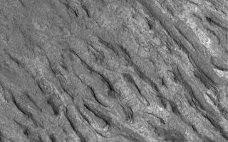 <h1>PIA07116:  Crater Floor Yardangs</h1><div class="PIA07116" lang="en" style="width:601px;text-align:left;margin:auto;background-color:#000;padding:10px;max-height:150px;overflow:auto;"><p>1 December 2004<br >This Mars Global Surveyor (MGS) Mars Orbiter Camera (MOC) image shows a group of semi-parallel ridges--yardangs--etched by wind into layered sedimentary rock on the floor of an unnamed crater in Terra Cimmeria. Many craters on Mars have been the sites of sedimentation. Over time, these sediments have become lithified. This picture is located near 31.3°S, 214.6°W. The image covers an area approximately 3 km (1.9 mi) across. Sunlight illuminates the scene from the left/upper left.</p><br /><br /><a href="http://photojournal.jpl.nasa.gov/catalog/PIA07116" onclick="window.open(this.href); return false;" title="Voir l'image 	 PIA07116:  Crater Floor Yardangs	  sur le site de la NASA">Voir l'image 	 PIA07116:  Crater Floor Yardangs	  sur le site de la NASA.</a></div>