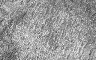 <h1>PIA07119:  Polygon/Cracked Sedimentary Rock</h1><div class="PIA07119" lang="en" style="width:799px;text-align:left;margin:auto;background-color:#000;padding:10px;max-height:150px;overflow:auto;"><p>4 December 2004<br >Exposures of sedimentary rock are quite common on the surface of Mars. Less common, but found in many craters in the regions north and northwest of the giant basin, Hellas, are sedimentary rocks with distinct polygonal cracks in them. This Mars Global Surveyor (MGS) Mars Orbiter Camera (MOC) image shows an example from the floor of an unnamed crater near 21.0°S, 311.9°W. Such cracks might have formed by desiccation as an ancient lake dried up, or they might be related to ground ice freeze/thaw cycles or some other stresses placed on the original sediment or the rock after it became lithified. The 300 meter scale bar is about 328 yards long. The scene is illuminated by sunlight from the upper left.</p><br /><br /><a href="http://photojournal.jpl.nasa.gov/catalog/PIA07119" onclick="window.open(this.href); return false;" title="Voir l'image 	 PIA07119:  Polygon/Cracked Sedimentary Rock	  sur le site de la NASA">Voir l'image 	 PIA07119:  Polygon/Cracked Sedimentary Rock	  sur le site de la NASA.</a></div>