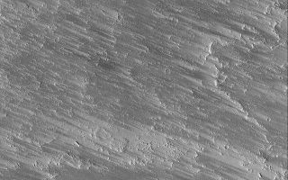 <h1>PIA07132:  Wind Streaks Among Flows</h1><div class="PIA07132" lang="en" style="width:640px;text-align:left;margin:auto;background-color:#000;padding:10px;max-height:150px;overflow:auto;"><p>17 December 2004<br >This Mars Global Surveyor (MGS) Mars Orbiter Camera (MOC) image shows dark wind streaks formed by removal of a thin veneer of bright dust covering small craters and lava flow surfacesnorthwest of Olympus Mons near 28.4°N, 129.8°W. Streak orientations indicate that the responsible winds blew from the east/southeast (right/lower right) toward the west/northwest (left/upper left). The image covers an area about 3 km (1.9 mi) wide. Sunlight illuminates thescene from the lower left.</p><br /><br /><a href="http://photojournal.jpl.nasa.gov/catalog/PIA07132" onclick="window.open(this.href); return false;" title="Voir l'image 	 PIA07132:  Wind Streaks Among Flows	  sur le site de la NASA">Voir l'image 	 PIA07132:  Wind Streaks Among Flows	  sur le site de la NASA.</a></div>