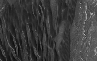 <h1>PIA07135:  North Polar Dunes</h1><div class="PIA07135" lang="en" style="width:480px;text-align:left;margin:auto;background-color:#000;padding:10px;max-height:150px;overflow:auto;"><p>20 December 2004<br >This Mars Global Surveyor (MGS) Mars Orbiter Camera (MOC) image shows a grouping of elongated, dark (low albedo) sand dunes in the north polar region of Mars. This picture was acquired during early summer in October 2004. The larger dune mass in this image may have accumulated through the coalescence of smaller dunes. These features are located near 85.7°N, 180.4°W. The image covers an area about 3 km (1.9 mi) wide and is illuminated by sunlight from the lower left.</p><br /><br /><a href="http://photojournal.jpl.nasa.gov/catalog/PIA07135" onclick="window.open(this.href); return false;" title="Voir l'image 	 PIA07135:  North Polar Dunes	  sur le site de la NASA">Voir l'image 	 PIA07135:  North Polar Dunes	  sur le site de la NASA.</a></div>