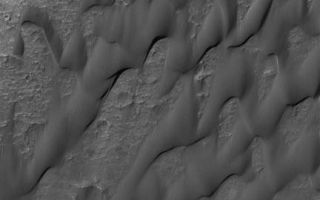 <h1>PIA07152:  Dunes of Herschel</h1><div class="PIA07152" lang="en" style="width:432px;text-align:left;margin:auto;background-color:#000;padding:10px;max-height:150px;overflow:auto;"><p>27 December 2004<br >This Mars Global Surveyor (MGS) Mars Orbiter Camera (MOC) image shows dark, windblown sand dunes on the floor of Herschel Crater. The surfaces of the dunes have grooves eroded into them. This indicates that the sand is not loose, like it is in typical sand dunes on Earth. Instead, the sand is cemented, and wind erosion has been slowly scouring the indurated sands away to create small-scale wind erosion features, known as yardangs. This picture covers an area about 3 km (1.9 mi) across, and is located near 15.6°S, 229.0°W. Sunlight illuminates the scene from the upper left.</p><br /><br /><a href="http://photojournal.jpl.nasa.gov/catalog/PIA07152" onclick="window.open(this.href); return false;" title="Voir l'image 	 PIA07152:  Dunes of Herschel	  sur le site de la NASA">Voir l'image 	 PIA07152:  Dunes of Herschel	  sur le site de la NASA.</a></div>