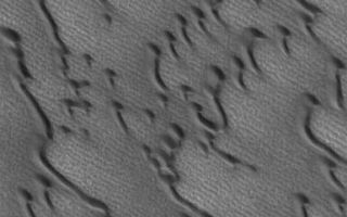 <h1>PIA07203:  Martian Sand Dunes</h1><div class="PIA07203" lang="en" style="width:385px;text-align:left;margin:auto;background-color:#000;padding:10px;max-height:150px;overflow:auto;"><p>6 January 2004<br ><p>The north polar cap of Mars is nearly surrounded by fields of dark, windblown sand dunes. This Mars Global Surveyor (MGS) Mars Orbiter Camera (MOC) image shows an example located near 73.5°N, 75.0°W. The orientation of these dunes indicate that the dominant winds--particularly those that occur during storms--come from the upper left (northwest). The picture covers an area about 3 km (1.9 mi) across, and is illuminated by sunlight from the lower left.</p><br /><br /><a href="http://photojournal.jpl.nasa.gov/catalog/PIA07203" onclick="window.open(this.href); return false;" title="Voir l'image 	 PIA07203:  Martian Sand Dunes	  sur le site de la NASA">Voir l'image 	 PIA07203:  Martian Sand Dunes	  sur le site de la NASA.</a></div>