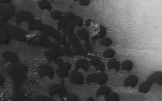 <h1>PIA07306:  Intracrater Dunes</h1><div class="PIA07306" lang="en" style="width:800px;text-align:left;margin:auto;background-color:#000;padding:10px;max-height:150px;overflow:auto;"><p>27 January 2004<br >This Mars Global Surveyor (MGS) Mars Orbiter Camera (MOC) image shows a portion of a field of dark sand dunes on the floor of an unnamed crater in western Arabia Terra near 7.3°N, 353.4°W. The dominant winds responsible for the movement of sand through this system blows almost directly north to south (top to bottom). The image covers an area about 3 km (1.9 mi) wide, and is illuminated by sunlight from the upper left.</p><br /><br /><a href="http://photojournal.jpl.nasa.gov/catalog/PIA07306" onclick="window.open(this.href); return false;" title="Voir l'image 	 PIA07306:  Intracrater Dunes	  sur le site de la NASA">Voir l'image 	 PIA07306:  Intracrater Dunes	  sur le site de la NASA.</a></div>