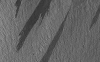 <h1>PIA07311:  Pavonis Slope Streaks</h1><div class="PIA07311" lang="en" style="width:418px;text-align:left;margin:auto;background-color:#000;padding:10px;max-height:150px;overflow:auto;"><p>29 January 2004<br >Northern Amazonis Planitia is famous for its frequent, large (> 1 km high) dust devils. They occur throughout the spring and summer seasons, and can be detected from orbit, even at the ~240 meters (~278 yards) per pixel resolution of the Mars Global Surveyor (MGS) Mars Orbiter Camera (MOC) wide angle instruments. This red wide angle image shows a plethora of large dust devils. The arrow points to an example. Shadows cast by the towering columns of swirling dust point away from the direction of sunlight illumination (sun is coming from the left/lower left). This December 2004 scene covers an area more than 125 km (> 78 mi) across and is located near 37°N, 154°W.</p><br /><br /><a href="http://photojournal.jpl.nasa.gov/catalog/PIA07311" onclick="window.open(this.href); return false;" title="Voir l'image 	 PIA07311:  Pavonis Slope Streaks	  sur le site de la NASA">Voir l'image 	 PIA07311:  Pavonis Slope Streaks	  sur le site de la NASA.</a></div>