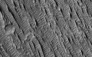 <h1>PIA07333:  Yardangs in Aeolis</h1><div class="PIA07333" lang="en" style="width:672px;text-align:left;margin:auto;background-color:#000;padding:10px;max-height:150px;overflow:auto;"><p>This Mars Global Surveyor (MGS) Mars Orbiter Camera (MOC) image shows yardangs, formed by wind erosion, and large ripples formed in wind by deposition of sediment. The sharp yardang ridges trend from northwest toward southeast (upper left to lower right), while the ripple crests are nearly perpendicular to this trend.</p><p>Location near: 0.9°N, 212.5°W <br .>Image width: ~3 km (~1.9 mi) <br .>Illumination from: upper left <br .>Season: Northern Summer<br .></p><br /><br /><a href="http://photojournal.jpl.nasa.gov/catalog/PIA07333" onclick="window.open(this.href); return false;" title="Voir l'image 	 PIA07333:  Yardangs in Aeolis	  sur le site de la NASA">Voir l'image 	 PIA07333:  Yardangs in Aeolis	  sur le site de la NASA.</a></div>
