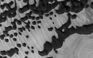 <h1>PIA07350:  Chasma Boreale Dunes</h1><div class="PIA07350" lang="en" style="width:672px;text-align:left;margin:auto;background-color:#000;padding:10px;max-height:150px;overflow:auto;"><p>9 February 2005 <br />This Mars Global Surveyor (MGS) Mars Orbiter Camera (MOC) image shows dark sand dunes overlying an eroded, layered substrate in Chasma Boreale, amid the materials of the martian north polar cap.</p><p>Location near: 84.5°N, 358.3°W <br .>Image width: ~3.0 km (~1.9 mi) <br .>Illumination from: lower left <br .>Season: Northern Summer <br .></p><br /><br /><a href="http://photojournal.jpl.nasa.gov/catalog/PIA07350" onclick="window.open(this.href); return false;" title="Voir l'image 	 PIA07350:  Chasma Boreale Dunes	  sur le site de la NASA">Voir l'image 	 PIA07350:  Chasma Boreale Dunes	  sur le site de la NASA.</a></div>