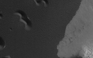 <h1>PIA07375:  December's Dunes</h1><div class="PIA07375" lang="en" style="width:470px;text-align:left;margin:auto;background-color:#000;padding:10px;max-height:150px;overflow:auto;"><p>This Mars Global Surveyor (MGS) Orbiter Camera (MOC) image shows sand dunes in the north polar region of Mars, as they appeared during northern summer in December 2004.</p><p>Location near: 78.1°N, 227.2°W <br />Image width: ~3.0 km (~1.9 mi) <br />Illumination from: lower left <br />Season: Northern Summer <br /></p><br /><br /><a href="http://photojournal.jpl.nasa.gov/catalog/PIA07375" onclick="window.open(this.href); return false;" title="Voir l'image 	 PIA07375:  December's Dunes	  sur le site de la NASA">Voir l'image 	 PIA07375:  December's Dunes	  sur le site de la NASA.</a></div>