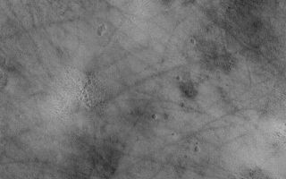 <h1>PIA07424:  Northern Plains Surfaces</h1><div class="PIA07424" lang="en" style="width:671px;text-align:left;margin:auto;background-color:#000;padding:10px;max-height:150px;overflow:auto;"><p>2 March 2005 <br />This Mars Global Surveyor (MGS) Mars Orbiter Camera (MOC) image shows a typical view of the vast martian northern plains. The dark, filamentary streaks were most likely formed by passing dust devils.</p><p>Location near: 53.3°N, 57.3°W <br />Image width: ~3 km (~1.9 mi) <br />Illumination from: lower left <br />Season: Northern Summer <br /></p><br /><br /><a href="http://photojournal.jpl.nasa.gov/catalog/PIA07424" onclick="window.open(this.href); return false;" title="Voir l'image 	 PIA07424:  Northern Plains Surfaces	  sur le site de la NASA">Voir l'image 	 PIA07424:  Northern Plains Surfaces	  sur le site de la NASA.</a></div>