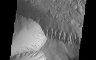 <h1>PIA07485:  Olympus Mons Mensa</h1><div class="PIA07485" lang="en" style="width:519px;text-align:left;margin:auto;background-color:#000;padding:10px;max-height:150px;overflow:auto;"><a href="/figures/PIA07485_fig1.jpg"></a><br /><p>The topic for the Image of the Day for the weeks of March 7-18 will be mountains on Mars.</p><p>This image is located in Olympus Mons and contains a a feature type called a Mensa, from the Latin word for 'table.' A Mensa is a flat-topped prominence with cliff-like edges.</p><p>A good diagram showing the structural difference between simple and complex craters is here: <a href="http://www.lpi.usra.edu/expmoon/science/craterstructure.html">http://www.lpi.usra.edu/expmoon/science/craterstructure.html</a></p>Image information: VIS instrument. Latitude 17.7, Longitude 221.2 East (138.8 West). 19 meter/pixel resolution.</p><p>Note: this THEMIS visual image has not been radiometrically nor geometrically calibrated for this preliminary release. An empirical correction has been performed to remove instrumental effects. A linear shift has been applied in the cross-track and down-track direction to approximate spacecraft and planetary motion. Fully calibrated and geometrically projected images will be released through the Planetary Data System in accordance with Project policies at a later time.</p><p>NASA's Jet Propulsion Laboratory manages the 2001 Mars Odyssey mission for NASA's Office of Space Science, Washington, D.C. The Thermal Emission Imaging System (THEMIS) was developed by Arizona State University, Tempe, in collaboration with Raytheon Santa Barbara Remote Sensing. The THEMIS investigation is led by Dr. Philip Christensen at Arizona State University. Lockheed Martin Astronautics, Denver, is the prime contractor for the Odyssey project, and developed and built the orbiter. Mission operations are conducted jointly from Lockheed Martin and from JPL, a division of the California Institute of Technology in Pasadena.</p><br /><br /><a href="http://photojournal.jpl.nasa.gov/catalog/PIA07485" onclick="window.open(this.href); return false;" title="Voir l'image 	 PIA07485:  Olympus Mons Mensa	  sur le site de la NASA">Voir l'image 	 PIA07485:  Olympus Mons Mensa	  sur le site de la NASA.</a></div>