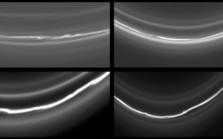 <h1>PIA07522:  Four Views of the F Ring</h1><div class="PIA07522" lang="en" style="width:800px;text-align:left;margin:auto;background-color:#000;padding:10px;max-height:150px;overflow:auto;"><p>This montage of four images of Saturn's knotted F ring shows different locations around the ring, even though all taken within a few hours of each other. There is considerable variation in the structure of the ring at these four locations.</p><p>For example, the number of ring strands differs from image to image. And in some images, kinks are clearly visible in the ring, while others regions appear more smooth.</p><p>Astronomers believe that the structure of Saturn's F ring is governed by its shepherding moons, Prometheus (102 kilometers, or 63 miles across) and Pandora (84 kilometers, or 52 miles across). The ring's appearance is expected to vary depending on how recently a ring section has encountered each moon and how close the moon came to the ring.</p><p>These images were taken in visible light with the Cassini spacecraft narrow-angle camera on May 3 and 4, 2005, from below the ringplane and at distances ranging from 735,000 to 952,000 kilometers (457,000 to 592,000 miles) from Saturn. The image scale ranges from 4 to 6 kilometers (2 to 4 miles) per pixel. </p><p>The Cassini-Huygens mission is a cooperative project of NASA, the European Space Agency and the Italian Space Agency. The Jet Propulsion Laboratory, a division of the California Institute of Technology in Pasadena, manages the mission for NASA's Science Mission Directorate, Washington, D.C. The Cassini orbiter and its two onboard cameras were designed, developed and assembled at JPL. The imaging team is based at the Space Science Institute, Boulder, Colo.</p><p>For more information about the Cassini-Huygens mission visit <a href="http://saturn.jpl.nasa.gov">http://saturn.jpl.nasa.gov</a>. For additional images visit the Cassini imaging team homepage <a href="http://ciclops.org">http://ciclops.org</a>.</p><br /><br /><a href="http://photojournal.jpl.nasa.gov/catalog/PIA07522" onclick="window.open(this.href); return false;" title="Voir l'image 	 PIA07522:  Four Views of the F Ring	  sur le site de la NASA">Voir l'image 	 PIA07522:  Four Views of the F Ring	  sur le site de la NASA.</a></div>