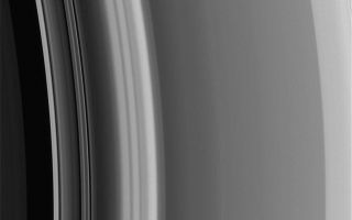 <h1>PIA07616:  The Cassini Division's Edge</h1><div class="PIA07616" lang="en" style="width:800px;text-align:left;margin:auto;background-color:#000;padding:10px;max-height:150px;overflow:auto;"></p>The outer reaches of Saturn's Cassini Division merges with the inner A ring (at the right) in a region that is rich in structure. For context, other Cassini views of this region are available (see <a href="/catalog/PIA07512">PIA07512</a>).</p><p>The smooth region leading up to the A ring grows brighter from the left to the right (known as a "ramp" to ring scientists). This region contains a faint "double-wave" structure that is a density feature caused by the influence of the co-orbital moons Janus and Epimetheus. Scientists are interested in observing the evolution of this density wave as the moons swap places in their orbits every few years, presumably resulting in a change in the perturbations that cause this feature.</p><p>This image was taken in visible light with the Cassini narrow-angle camera on Sept. 5, 2005, at a distance of approximately 441,000 kilometers (274,000 miles) from Saturn. The image scale is 2 kilometers (1 mile) per pixel.</p><p>The Cassini-Huygens mission is a cooperative project of NASA, the European Space Agency and the Italian Space Agency. The Jet Propulsion Laboratory, a division of the California Institute of Technology in Pasadena, manages the mission for NASA's Science Mission Directorate, Washington, D.C. The Cassini orbiter and its two onboard cameras were designed, developed and assembled at JPL. The imaging operations center is based at the Space Science Institute in Boulder, Colo.</p><p>For more information about the Cassini-Huygens mission visit <a href="http://saturn.jpl.nasa.gov">http://saturn.jpl.nasa.gov</a>. The Cassini imaging team homepage is at <a href="http://ciclops.org">http://ciclops.org</a>.</p><br /><br /><a href="http://photojournal.jpl.nasa.gov/catalog/PIA07616" onclick="window.open(this.href); return false;" title="Voir l'image 	 PIA07616:  The Cassini Division's Edge	  sur le site de la NASA">Voir l'image 	 PIA07616:  The Cassini Division's Edge	  sur le site de la NASA.</a></div>