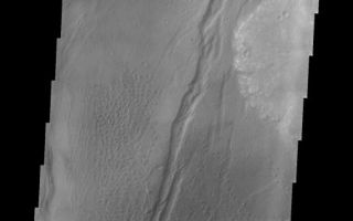 <h1>PIA07833:  Nili Patera Dune Field</h1><div class="PIA07833" lang="en" style="width:516px;text-align:left;margin:auto;background-color:#000;padding:10px;max-height:150px;overflow:auto;"><a href="/figures/PIA07833_fig1.jpg"></a><br /><p>Our topic for the weeks of April 4 and April 11 is dunes on Mars. We will look at the north polar sand sea and at isolated dune fields at lower latitudes. Sand seas on Earth are often called "ergs," an Arabic name for dune field. A sand sea differs from a dune field in two ways: 1) a sand sea has a large regional extent, and 2) the individual dunes are large in size and complex in form.</p><p>This VIS image shows a dune field within Nili Patera, the northern caldera of a large volcanic complex in Syrtis Major.</p><p>Image information: VIS instrument. Latitude 9, Longitude 67 East (293 West). 19 meter/pixel resolution.</p><p>Note: this THEMIS visual image has not been radiometrically nor geometrically calibrated for this preliminary release. An empirical correction has been performed to remove instrumental effects. A linear shift has been applied in the cross-track and down-track direction to approximate spacecraft and planetary motion. Fully calibrated and geometrically projected images will be released through the Planetary Data System in accordance with Project policies at a later time.</p><p>NASA's Jet Propulsion Laboratory manages the 2001 Mars Odyssey mission for NASA's Office of Space Science, Washington, D.C. The Thermal Emission Imaging System (THEMIS) was developed by Arizona State University, Tempe, in collaboration with Raytheon Santa Barbara Remote Sensing. The THEMIS investigation is led by Dr. Philip Christensen at Arizona State University. Lockheed Martin Astronautics, Denver, is the prime contractor for the Odyssey project, and developed and built the orbiter. Mission operations are conducted jointly from Lockheed Martin and from JPL, a division of the California Institute of Technology in Pasadena.</p><br /><br /><a href="http://photojournal.jpl.nasa.gov/catalog/PIA07833" onclick="window.open(this.href); return false;" title="Voir l'image 	 PIA07833:  Nili Patera Dune Field	  sur le site de la NASA">Voir l'image 	 PIA07833:  Nili Patera Dune Field	  sur le site de la NASA.</a></div>