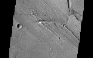 <h1>PIA07856:  Kasei Vallis Channel Splitting</h1><div class="PIA07856" lang="en" style="width:557px;text-align:left;margin:auto;background-color:#000;padding:10px;max-height:150px;overflow:auto;"><a href="/figures/PIA07856_fig1.jpg"></a><br /><p>Kasei Vallis is our topic for the weeks of April 18 and 25. Originating on the margin of Lunae Planum, the Kasei Vallis complex contains two main channels that run east-west across Tempe Terra and empty into Chryse Planitia. During the week of April 18th we will concentrate on the northern branch of Kasei Vallis. The week of April 25 will be devoted to the southern branch.</p><p>The formation of Kasei Vallis is still being studied and several theories exist. It is thought that volcanic subsurfaceing heating in the Tharsis/Lunae Planum region resulted in a release of water, which carved the channels and produced the landforms seen within the channels. One theory is that this was a one-time catastropic event, another theory speculates that several flooding events occurred over a long time period. Others have proposed that some of the landforms (especially scour marks and teardropshaped "islands") are the result of glacial flow rather than liquid flow. Teardrop shaped islands are common in terrestrial rivers, where the water is eroding material in the channel. A glacial feature called a <a href="http://www.zephryus.demon.co.uk/geography/resources/glaciers/drum.html">drumlin</a> has the exact sameshape, but is formed by deposition beneath continental glaciers.</p><p>This VIS image illustrates the complexity of the main channel. At the top of the image the channel splits with a narrow side channel heading north. At the bottom of the image, the channel splits again.</p><p>Image information: VIS instrument. Latitude 29, Longitude 305.2 East (54.8 West). 19 meter/pixel resolution.</p><p>Note: this THEMIS visual image has not been radiometrically nor geometrically calibrated for this preliminary release. An empirical correction has been performed to remove instrumental effects. A linear shift has been applied in the cross-track and down-track direction to approximate spacecraft and planetary motion. Fully calibrated and geometrically projected images will be released through the Planetary Data System in accordance with Project policies at a later time.</p><p>NASA's Jet Propulsion Laboratory manages the 2001 Mars Odyssey mission for NASA's Office of Space Science, Washington, D.C. The Thermal Emission Imaging System (THEMIS) was developed by Arizona State University, Tempe, in collaboration with Raytheon Santa Barbara Remote Sensing. The THEMIS investigation is led by Dr. Philip Christensen at Arizona State University. Lockheed Martin Astronautics, Denver, is the prime contractor for the Odyssey project, and developed and built the orbiter. Mission operations are conducted jointly from Lockheed Martin and from JPL, a division of the California Institute of Technology in Pasadena.</p><br /><br /><a href="http://photojournal.jpl.nasa.gov/catalog/PIA07856" onclick="window.open(this.href); return false;" title="Voir l'image 	 PIA07856:  Kasei Vallis Channel Splitting	  sur le site de la NASA">Voir l'image 	 PIA07856:  Kasei Vallis Channel Splitting	  sur le site de la NASA.</a></div>