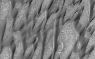 <h1>PIA07883:  Groovy Dunes</h1><div class="PIA07883" lang="en" style="width:800px;text-align:left;margin:auto;background-color:#000;padding:10px;max-height:150px;overflow:auto;"><p>23 April 2005 <br />This Mars Global Surveyor (MGS) Mars Orbiter Camera (MOC) image shows a favorite among the MGS MOC operations team at Malin Space Science Systems, another example of the grooved dunes in Herschel Crater. The fine-scale grooves on the sand dune surfaces were formed by wind erosion. The sand dune surfaces have, over time, become crusted and the dunes immobilized. Wind now has to scour sand from the surfaces of these bedforms, creating small wind erosion features known as yardangs in the sand.</p><p>Location near: 15.7°S, 228.9°W<br />Image width: ~3 km (~1.9 mi) <br />Illumination from: upper left <br />Season: Southern Winter <br /></p><br /><br /><a href="http://photojournal.jpl.nasa.gov/catalog/PIA07883" onclick="window.open(this.href); return false;" title="Voir l'image 	 PIA07883:  Groovy Dunes	  sur le site de la NASA">Voir l'image 	 PIA07883:  Groovy Dunes	  sur le site de la NASA.</a></div>