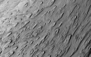 <h1>PIA07890:  Wind Erosion in Tithonium</h1><div class="PIA07890" lang="en" style="width:800px;text-align:left;margin:auto;background-color:#000;padding:10px;max-height:150px;overflow:auto;"><p>30 April 2005 <br />This Mars Global Surveyor (MGS) Mars Orbiter Camera (MOC) image shows wind-eroded sedimentary rocks in Tithonium Chasma, one of the troughs of the Valles Marineris system. The winds responsible for the majority of the erosion blew from the northeast (upper right), creating yardangs (wind erosion ridges) with their tapered ends pointing downwind.</p><p>Location near: 4.6°S, 88.3°W <br />Image width: ~3 km (~1.9 mi) <br />Illumination from: upper left <br />Season: Southern Winter <br /></p><br /><br /><a href="http://photojournal.jpl.nasa.gov/catalog/PIA07890" onclick="window.open(this.href); return false;" title="Voir l'image 	 PIA07890:  Wind Erosion in Tithonium	  sur le site de la NASA">Voir l'image 	 PIA07890:  Wind Erosion in Tithonium	  sur le site de la NASA.</a></div>