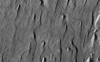 <h1>PIA07971:  Tithonium Yardangs</h1><div class="PIA07971" lang="en" style="width:800px;text-align:left;margin:auto;background-color:#000;padding:10px;max-height:150px;overflow:auto;"><p>22 May 2005<br />This Mars Global Surveyor (MGS) Mars Orbiter Camera (MOC) image shows yardangs formed by wind erosion of materials exposed on the floor of western Tithonium Chasma. The winds responsible for these landforms blew from the north/northeast (top/upper right). Tithonium Chasma is part of the Valles Marineris system.</p><p>Location near: 4.8°S, 89.5°W <br />Image width: ~3 km (~1.9 mi) <br />Illumination from: upper left <br />Season: Southern Winter <br /></p><br /><br /><a href="http://photojournal.jpl.nasa.gov/catalog/PIA07971" onclick="window.open(this.href); return false;" title="Voir l'image 	 PIA07971:  Tithonium Yardangs	  sur le site de la NASA">Voir l'image 	 PIA07971:  Tithonium Yardangs	  sur le site de la NASA.</a></div>