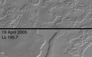 <h1>PIA07972:  Four Mars Years of Change</h1><div class="PIA07972" lang="en" style="width:537px;text-align:left;margin:auto;background-color:#000;padding:10px;max-height:150px;overflow:auto;"><p>23 May 2005<br />These two Mars Global Surveyor (MGS) Mars Orbiter Camera (MOC) images were acquired a little more than four Mars years apart. One Mars year is about 687 Earth days long. The two images show a portion of the south polar cap, which is composed of frozen, layered, carbon dioxide. Each Mars year since MGS has been observing the planet, the mesas and buttes composed of carbon dioxide have gotten a little bit smaller, and the pits and holes have become a little bit wider. The scarps formed in frozen carbon dioxide in the south polar region are retreating at an average rate of about 3 meters per Mars year. The example shown here includes an image obtained in August 1999, and a more recent picture from April 2005. Arrow "1" points to a dramatic example of the changes that have occurred; in this case a mesa shrank to a small butte in just four martian years. Arrow "2" indicates pits that developed in the cap layer of a carbon dioxide mesa that eroded during the same interval. Acquired during early southern spring, both images are illuminated by sunlight from the upper left.</p></p><br /><br /><a href="http://photojournal.jpl.nasa.gov/catalog/PIA07972" onclick="window.open(this.href); return false;" title="Voir l'image 	 PIA07972:  Four Mars Years of Change	  sur le site de la NASA">Voir l'image 	 PIA07972:  Four Mars Years of Change	  sur le site de la NASA.</a></div>