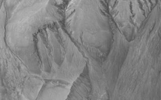 <h1>PIA08020:  Terra Sirenum Gullies</h1><div class="PIA08020" lang="en" style="width:733px;text-align:left;margin:auto;background-color:#000;padding:10px;max-height:150px;overflow:auto;"><p>29 March 2006<br />This Mars Global Surveyor (MGS) Mars Orbiter Camera (MOC) image shows a portion of the northern wall complex of a crater in northwest Terra Sirenum. Several spectacular gully networks extend from a variety of elevations on the wall and run downslope toward the crater floor (bottom of image). The genesis of these features is still hotly debated in the Mars science community. Among the possibilities is that of a combination of mass movement and groundwater seepage and runoff.</p><p>Location near: 39.2°S, 164.2°W <br />Image width: ~3 km (~1.9 mi) <br />Illumination from: upper left <br />Season: Southern Summer </p><br /><br /><a href="http://photojournal.jpl.nasa.gov/catalog/PIA08020" onclick="window.open(this.href); return false;" title="Voir l'image 	 PIA08020:  Terra Sirenum Gullies	  sur le site de la NASA">Voir l'image 	 PIA08020:  Terra Sirenum Gullies	  sur le site de la NASA.</a></div>