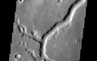 <h1>PIA08035:  Nanedi Vallis</h1><div class="PIA08035" lang="en" style="width:563px;text-align:left;margin:auto;background-color:#000;padding:10px;max-height:150px;overflow:auto;"><p><a href="/figures/PIA08035_fig1.jpg"></a><br><b>Context image for PIA08035<br />Nanedi Vallis</b></p><p>This channel and its tributaries are a part of Nanedi Vallis.<p>Image information: VIS instrument. Latitude 0.7N, Longitude 310.6E. 18 meter/pixel resolution.</p><p>Please see the <a href="http://themis.asu.edu/terms" target="_blank">THEMIS Data Citation Note</a> for details on crediting THEMIS images. </p><p>Note: this THEMIS visual image has not been radiometrically nor geometrically calibrated for this preliminary release. An empirical correction has been performed to remove instrumental effects. A linear shift has been applied in the cross-track and down-track direction to approximate spacecraft and planetary motion. Fully calibrated and geometrically projected images will be released through the Planetary Data System in accordance with Project policies at a later time.</p><p>NASA's Jet Propulsion Laboratory manages the 2001 Mars Odyssey mission for NASA's Office of Space Science, Washington, D.C. The Thermal Emission Imaging System (THEMIS) was developed by Arizona State University, Tempe, in collaboration with Raytheon Santa Barbara Remote Sensing. The THEMIS investigation is led by Dr. Philip Christensen at Arizona State University. Lockheed Martin Astronautics, Denver, is the prime contractor for the Odyssey project, and developed and built the orbiter. Mission operations are conducted jointly from Lockheed Martin and from JPL, a division of the California Institute of Technology in Pasadena.</p><br /><br /><a href="http://photojournal.jpl.nasa.gov/catalog/PIA08035" onclick="window.open(this.href); return false;" title="Voir l'image 	 PIA08035:  Nanedi Vallis	  sur le site de la NASA">Voir l'image 	 PIA08035:  Nanedi Vallis	  sur le site de la NASA.</a></div>