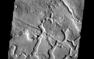 <h1>PIA08059:  Box Canyons</h1><div class="PIA08059" lang="en" style="width:592px;text-align:left;margin:auto;background-color:#000;padding:10px;max-height:150px;overflow:auto;"><p><a href="/figures/PIA08059_fig1.jpg"></a><br><b>Context image for PIA08059<br />Box Canyons</b></p><p>The line of box canyons in the middle of this image are part of a large region of collapse features called Galaxias Fossae.<p>Image information: VIS instrument. Latitude 37.5N, Longitude 142.5E. 19 meter/pixel resolution.</p><p>Please see the <a href="http://themis.asu.edu/terms" target="_blank">THEMIS Data Citation Note</a> for details on crediting THEMIS images. </p><p>Note: this THEMIS visual image has not been radiometrically nor geometrically calibrated for this preliminary release. An empirical correction has been performed to remove instrumental effects. A linear shift has been applied in the cross-track and down-track direction to approximate spacecraft and planetary motion. Fully calibrated and geometrically projected images will be released through the Planetary Data System in accordance with Project policies at a later time.</p><p>NASA's Jet Propulsion Laboratory manages the 2001 Mars Odyssey mission for NASA's Office of Space Science, Washington, D.C. The Thermal Emission Imaging System (THEMIS) was developed by Arizona State University, Tempe, in collaboration with Raytheon Santa Barbara Remote Sensing. The THEMIS investigation is led by Dr. Philip Christensen at Arizona State University. Lockheed Martin Astronautics, Denver, is the prime contractor for the Odyssey project, and developed and built the orbiter. Mission operations are conducted jointly from Lockheed Martin and from JPL, a division of the California Institute of Technology in Pasadena.</p><br /><br /><a href="http://photojournal.jpl.nasa.gov/catalog/PIA08059" onclick="window.open(this.href); return false;" title="Voir l'image 	 PIA08059:  Box Canyons	  sur le site de la NASA">Voir l'image 	 PIA08059:  Box Canyons	  sur le site de la NASA.</a></div>