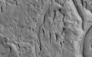 <h1>PIA08070:  Inverted Channels</h1><div class="PIA08070" lang="en" style="width:509px;text-align:left;margin:auto;background-color:#000;padding:10px;max-height:150px;overflow:auto;"><p>13 April 2006<br />This Mars Global Surveyor (MGS) Mars Orbiter Camera (MOC) image shows ridges exposed by erosion in the Aeolis region of Mars. The curved and crisscrossing ridges were once channels in a fan of sediment deposited in the Aeolis lowlands. The channels were more resistant to wind erosion than the surrounding materials, so today they are left standing as ridges rather than valleys.</p><p>Location near: 6.1°S, 209.0°W <br />Image width: ~3 km (~1.9 mi) <br />Illumination from: lower left <br />Season: Southern Summer </p><br /><br /><a href="http://photojournal.jpl.nasa.gov/catalog/PIA08070" onclick="window.open(this.href); return false;" title="Voir l'image 	 PIA08070:  Inverted Channels	  sur le site de la NASA">Voir l'image 	 PIA08070:  Inverted Channels	  sur le site de la NASA.</a></div>