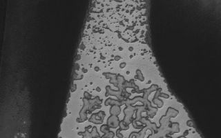 <h1>PIA08091:  CO2 Hourglass</h1><div class="PIA08091" lang="en" style="width:772px;text-align:left;margin:auto;background-color:#000;padding:10px;max-height:150px;overflow:auto;"><p>24 April 2006<br /> This Mars Global Surveyor (MGS) Mars Orbiter Camera (MOC) image shows a portion of the south polar residual cap of Mars. The bright, relatively homogeneous-appearing material extending from top (north) to bottom (south) is mainly composed of solid carbon dioxide. During the martian summer months, sublimation, the direct conversion of a solid to a gas, causes the scarps that delineate the edges of the bright material to retreat by approximately 3 meters (around 10 feet) before autumn begins.</p><p>Location near: 87.1°S, 94.0°W <br />Image width: ~3 km (~1.9 mi) <br />Illumination from: upper left <br />Season: Southern Summer </p><br /><br /><a href="http://photojournal.jpl.nasa.gov/catalog/PIA08091" onclick="window.open(this.href); return false;" title="Voir l'image 	 PIA08091:  CO2 Hourglass	  sur le site de la NASA">Voir l'image 	 PIA08091:  CO2 Hourglass	  sur le site de la NASA.</a></div>